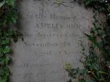 image of grave number 796427